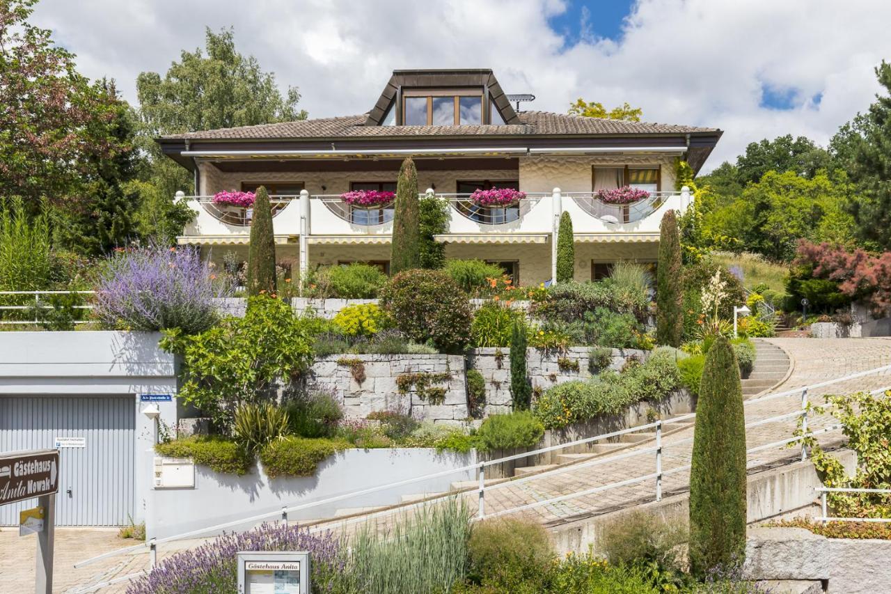 Gaestehaus Anita Gailingen am Hochrhein Extérieur photo
